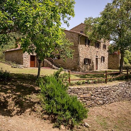 Apartmán Borgo Al Teto La Vite Castiglion Fiorentino Exteriér fotografie