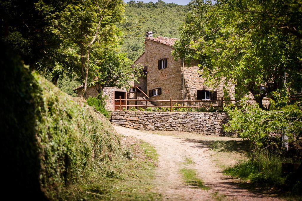 Apartmán Borgo Al Teto La Vite Castiglion Fiorentino Exteriér fotografie