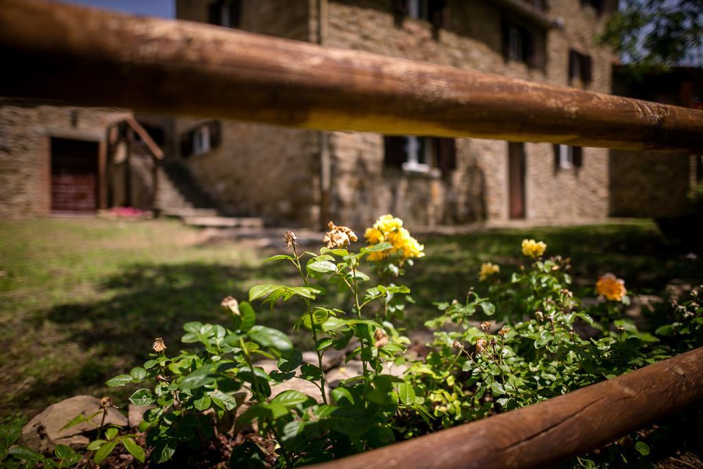 Apartmán Borgo Al Teto La Vite Castiglion Fiorentino Exteriér fotografie