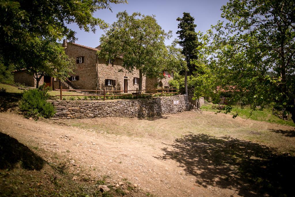 Apartmán Borgo Al Teto La Vite Castiglion Fiorentino Exteriér fotografie