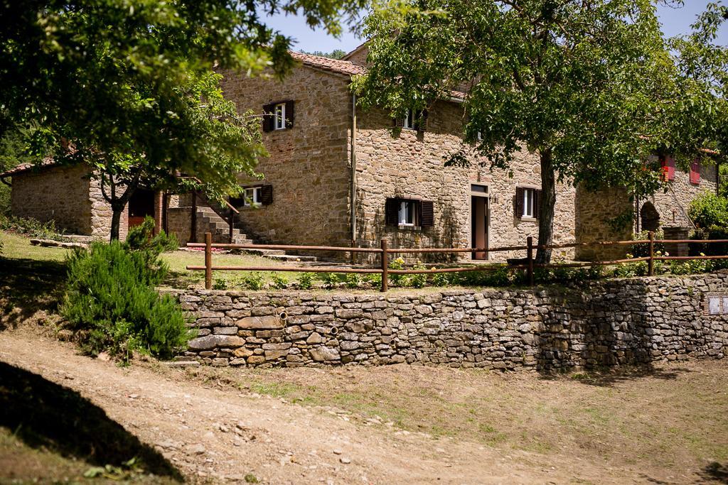 Apartmán Borgo Al Teto La Vite Castiglion Fiorentino Exteriér fotografie